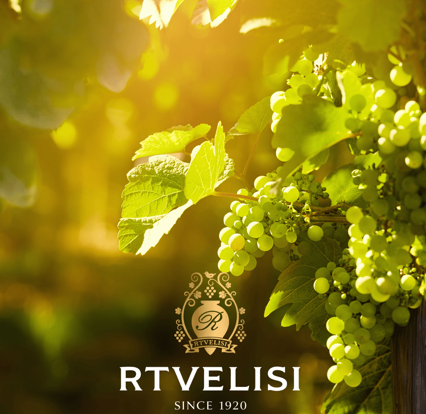 Rtvelisi Winery in Kakheti